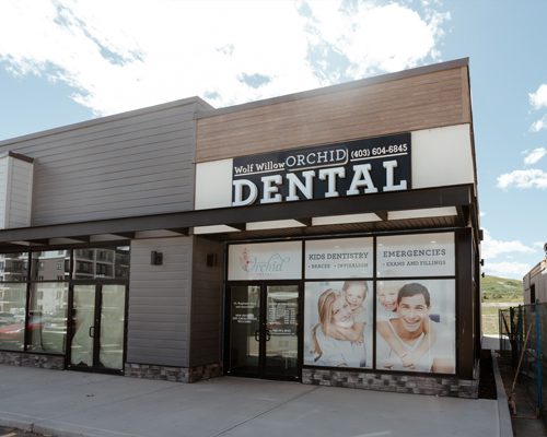 Wolf Willow orchid dental clinic
